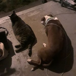 Meet your Posher, Casey